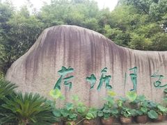 -荷塘月色湿地公园·向阳花洲
