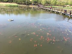 -前关湿地公园