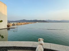 -柒月北岸民宿(西山店)