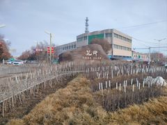 -特克斯八卦城
