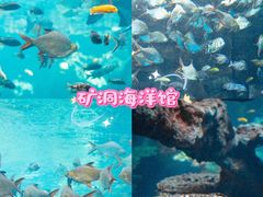 -长鹿旅游休博园