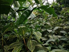-北京植物园-展览温室