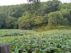 -中华贤母园-陶渊明纪念馆