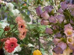 -二酉书店TOYOU BOOKS