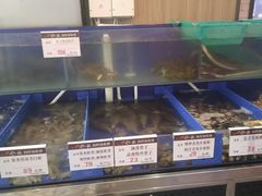 -船歌·鱼水饺青岛菜(金狮广场店)