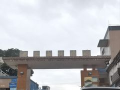 -江门古劳水乡旅游区