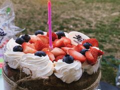 -长白岛森林公园