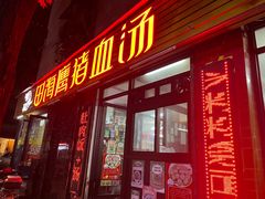 -田海鹰猪血汤(平东一街店)