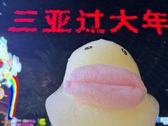 -三亚海昌梦幻海洋不夜城