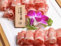 -串一火锅(赛格国际购物中心店)