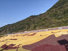 -新安江山水画廊风景区