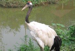 -石家庄市动物园