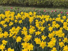 -玄武湖景区-情侣园游乐场