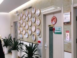 -新生植发·植养护一体