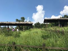 -野三坡百草畔景区