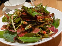 折耳根-茅溪菜·家常菜(九街店)