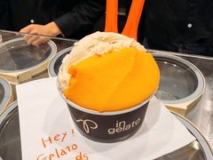 -Dip in Gelato(富民路店)