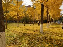 -中国人民大学游泳馆