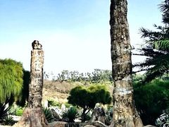 -深圳仙湖植物园