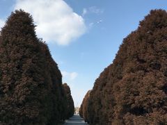 -苏州太湖国家湿地公园