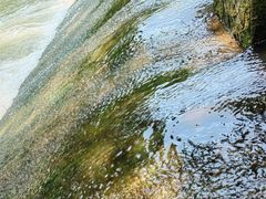 -桤木河湿地公园