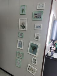 -KS科逆美肤祛痘