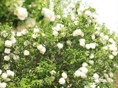 -南山风景名胜区