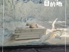 -珠海长隆海洋王国