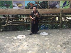 -海南槟榔谷黎苗文化旅游区