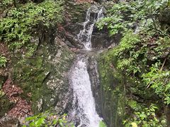 -本溪汤沟绿石谷森林公园