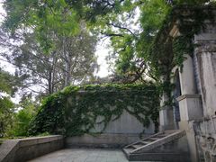 -北京鹫峰国家森林公园