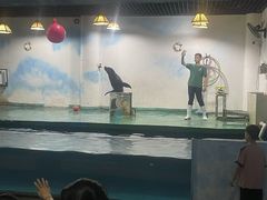 -嘉兴海底世界