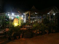 -Jungle Kitchen