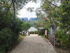 -华侨城湿地公园