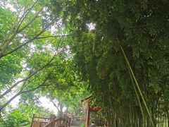 -大渡口区义渡公园
