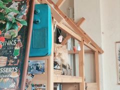 -小时光咖啡馆(开森度假森林店)