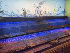 -透明思烤·自助烤肉海鲜火锅(东部星悦天地店)