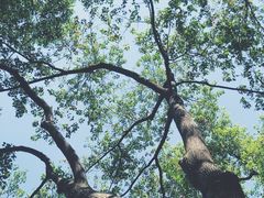 -杭州城北体育公园