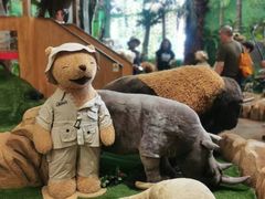 -济州岛泰迪熊博物馆