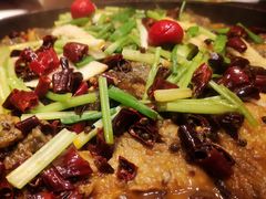 -老板恋上鱼(恒隆广场店)