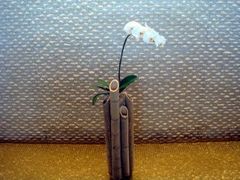 -上海明天广场JW万豪酒店