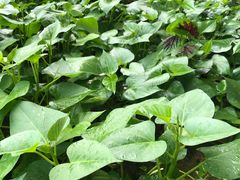 -廣味潮鲜·一品潮滋味(五道口店)