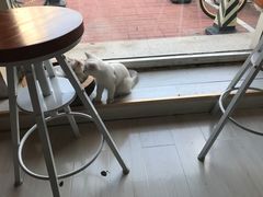 -青春加萌照相馆