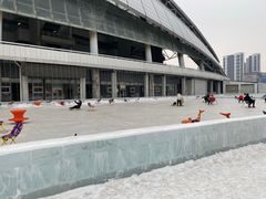-沈阳奥体冰雪嘉年华