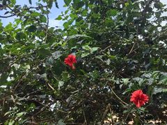 -海南热带野生动植物园