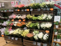 -优衣库(深圳万象天地旗舰店)