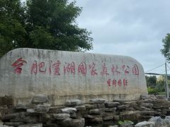 -合肥滨湖国家森林公园