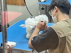 -转角宠物(转塘方家苑店)