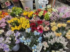 -循礼门鲜花花市(武汉循礼门店)