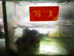 -干老四雅鱼饭店(滨江西路店)